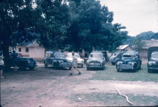 Peugeots
